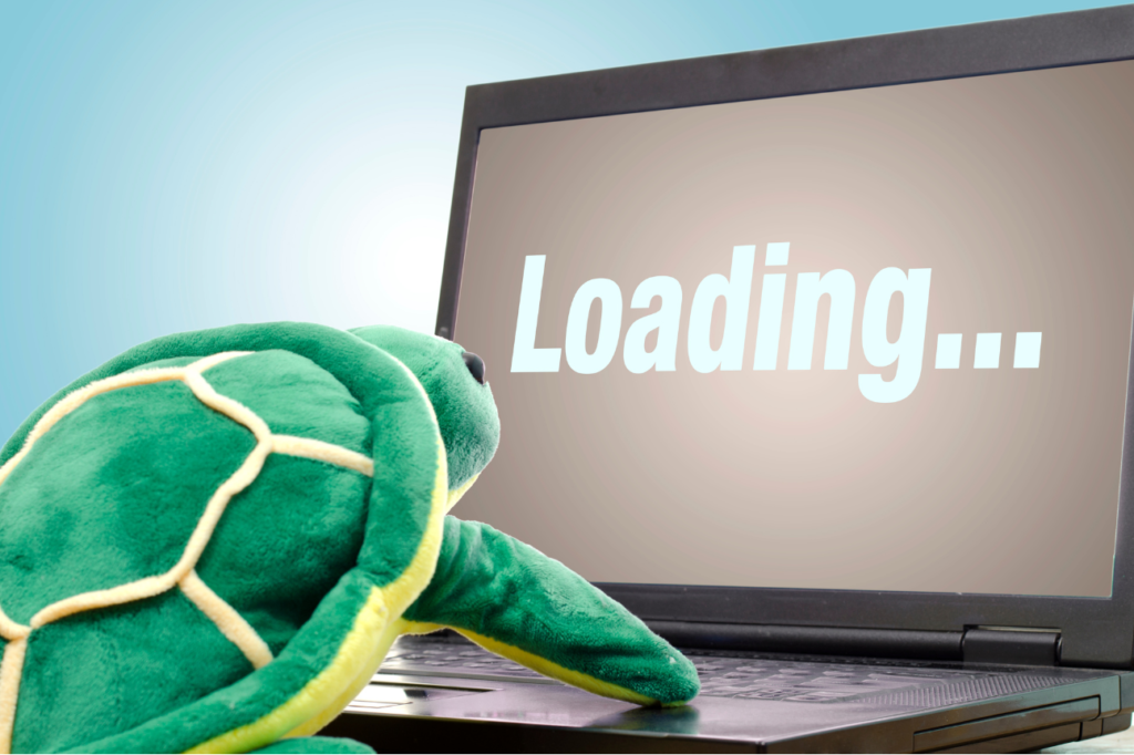 Computers/Internet. Turtle staring at a monitor saying loading.